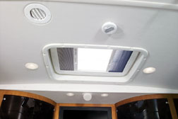 �X�J�C���C�g